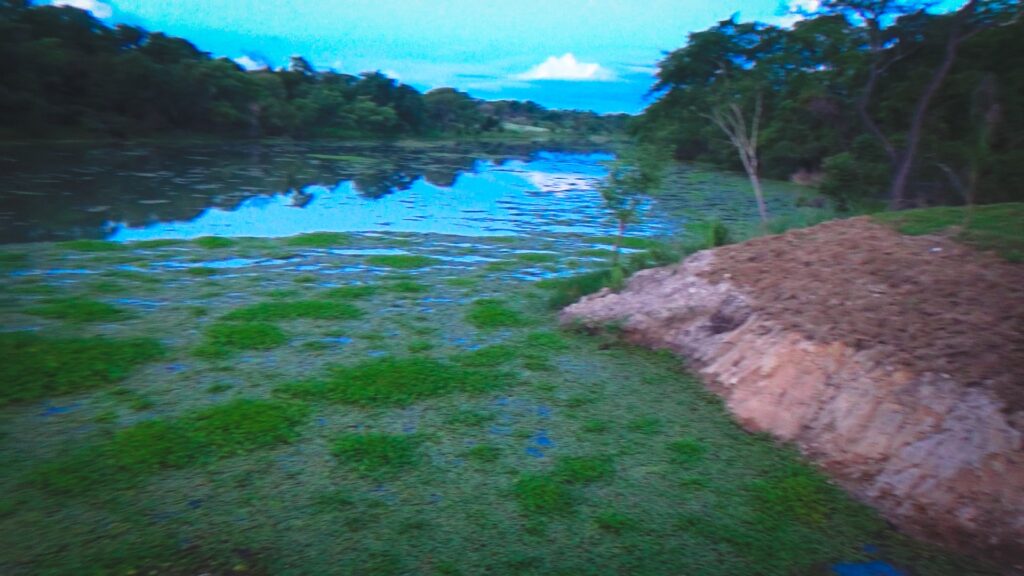 edited photo (1)